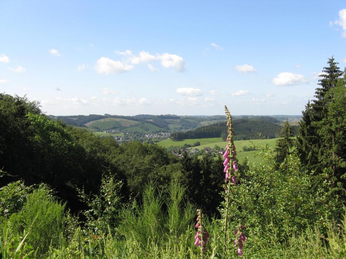 Urlaub im Naturgarten Bergneustadt Exterior foto
