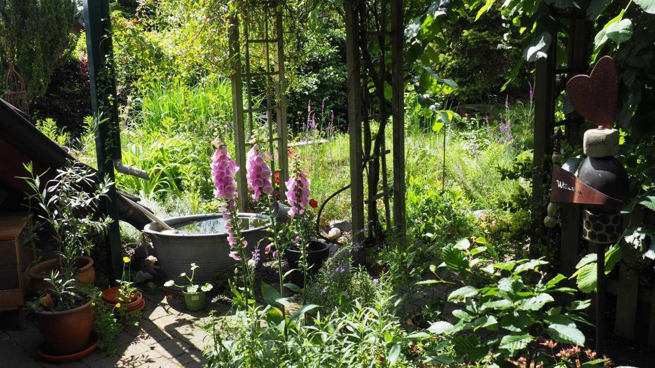 Urlaub im Naturgarten Bergneustadt Exterior foto